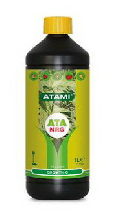 ATA  GROWTH C