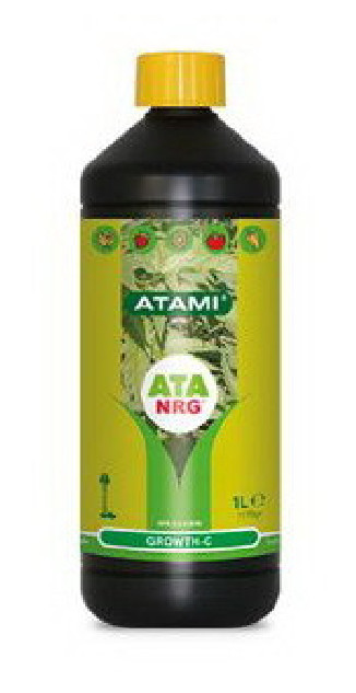 ATA  GROWTH C