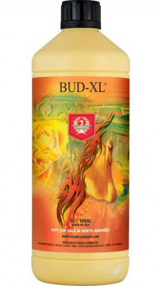 HOUSE & GARDEN BUD XL - 1