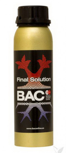 BAC FINAL SOLUTION