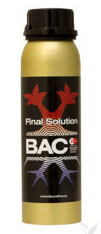 BAC FINAL SOLUTION
