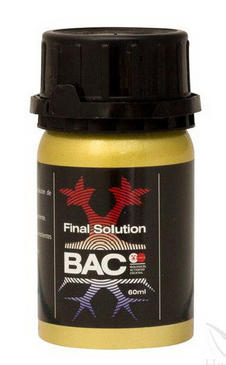 BAC FINAL SOLUTION