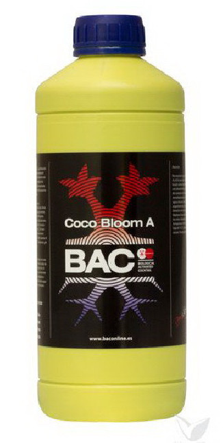 BAC COCO BLOOM A