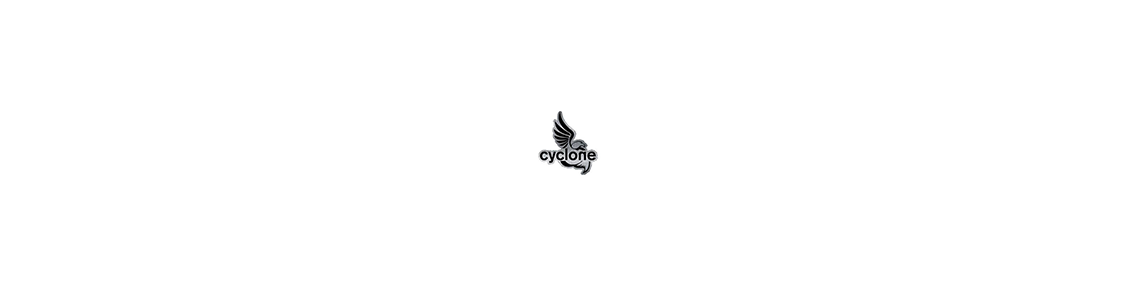 CYCLONE BY VDL