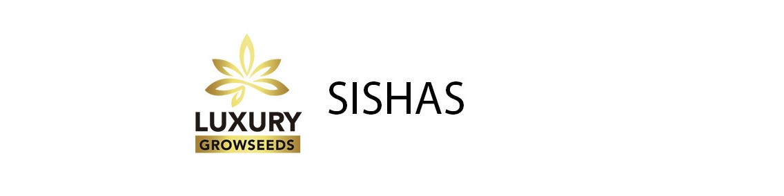 SHISHAS