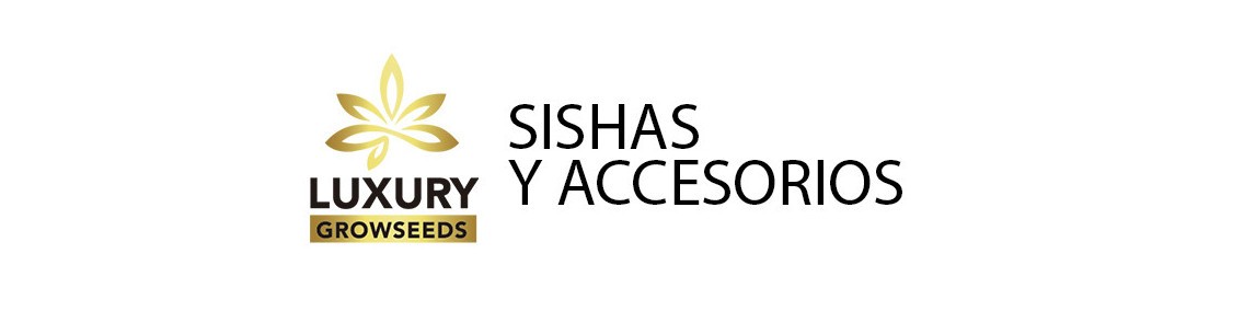 Shishas y Accesorios